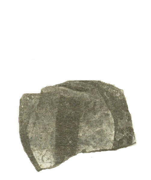 NIEMEYER 1986, fig. 7