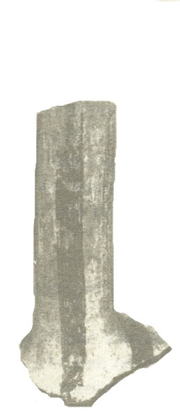 NIEMEYER 1986, fig. 7