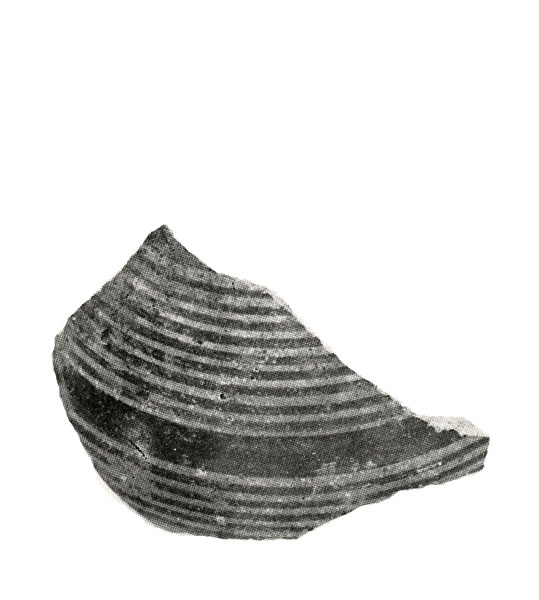 BLÁZQUEZ 1975, CXIII, lám. 113 A