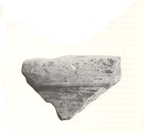 NIEMEYER 1987, lám. 2, e