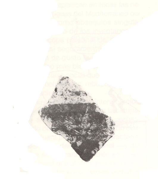 NIEMEYER 1987, lám. 2, b