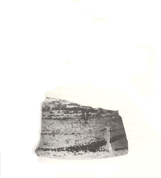 NIEMEYER 1987, lám. 2, d