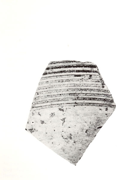 NIEMEYER 1987, lám. 1, a