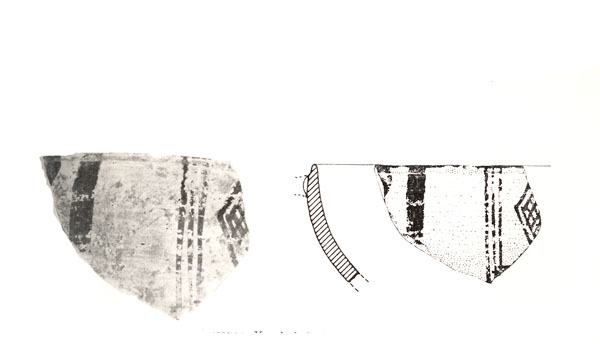 NIEMEYER 1971, fig. 1a