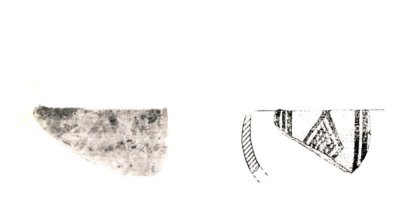 NIEMEYER 1971, fig. 1b