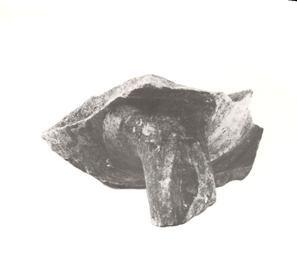 NIEMEYER 1987, lám. 2, c