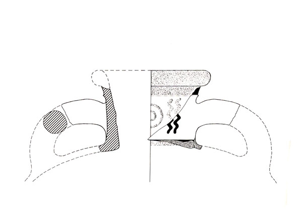 NIEMEYER 1987, fig. 2, A