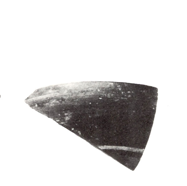 NIEMEYER 1987, lám. 1, g