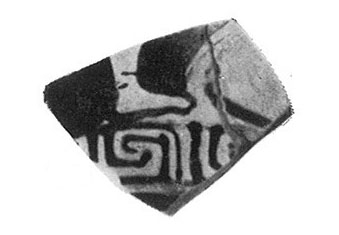 TRIAS 1967. P. 255-256, Lam CXXXVII. Fig.10