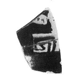 TRIAS 1967. P. 255-256, Lam CXXXVII. Fig.13