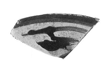 TRIAS 1967. P. 255, Lam CXXXVII. Fig.8