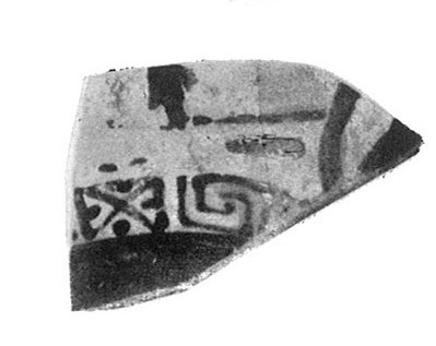 TRIAS 1967. P. 255-256, Lam CXXXVII. Fig.9