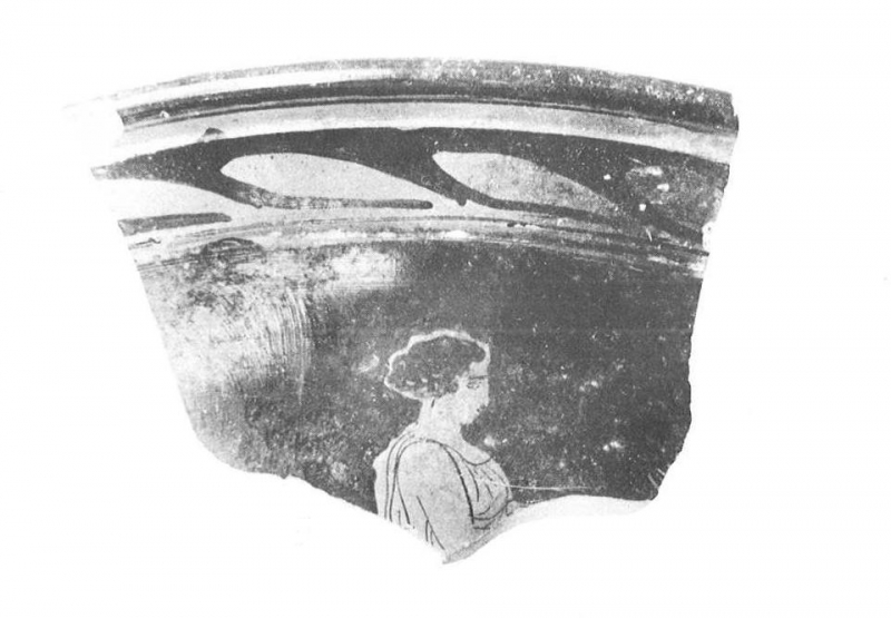 MALUQUER/PICAZO/MARTÍN 1984   pl. 24, lam. 12.