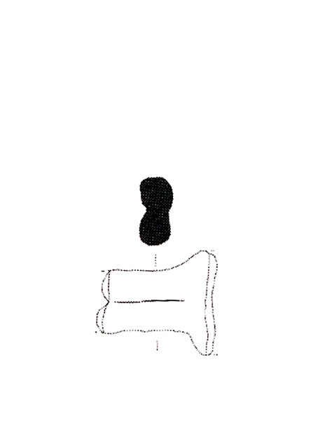 LÓPEZ CASTRO ET ALII. 2010, fig. 8, r