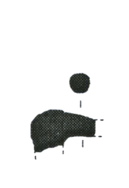 LÓPEZ CASTRO ET ALII. 2004, fig. 7, q